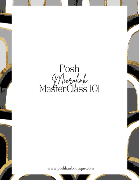 Microlink MasterClass E-Book